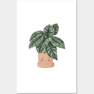 Cute Plant Illustration, Alocasia Silver Dragon Illustration 2 Posters and Art